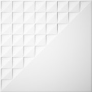 Blanco T1D 20x20