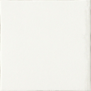 Progetto Bianco  