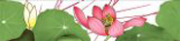 Cenefa Lotus