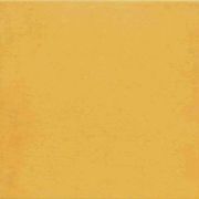 1900-Amarillo 2020