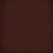 1900 Chocolate 2020