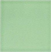 ADMO 1021 Liso PB C/C Verde Claro