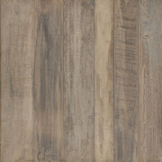 Carol 48*48