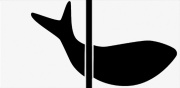 Mezzo Pesce