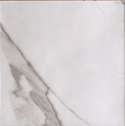 Roma Statuario matt. 20x20