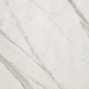 Statuario Matt 60x60 
