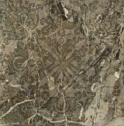  Leaves Acorn 48*48