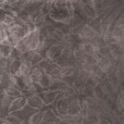 Roses Malva 6060