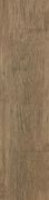 Brown Chestnut 15*90
