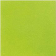 64206 Boden Limone Mat 