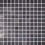  Brennero Goldeneye Mosaico su rete Dark 