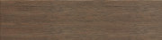 Chocolate  25x100