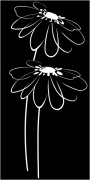 Decor Blancos Flor Noir