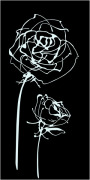 Decor Blancos Roses Noir