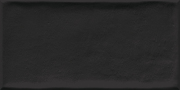 Etnia Negro