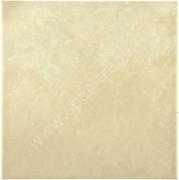 Fondo Champagne 15*15