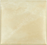 Fondo Convesso Champagne 15*15