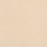 GPV511 Harmony Beige