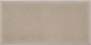 ADOC1003 Liso Sand Dollar