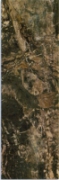  Orobico Brown 
