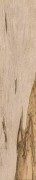 Walnut Rett